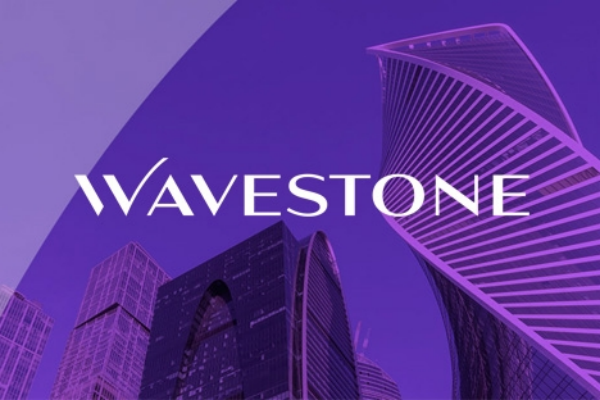 2025Wavestone研究報(bào)告合集（共17套打包）