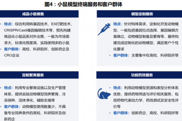 小鼠模型有哪些類型?應用領域一覽