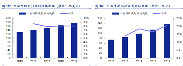 全球生物科研試劑市場(chǎng)規(guī)模
