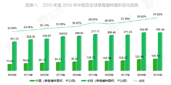 2010年至2019年中國及全球草莓播種面積變化趨勢