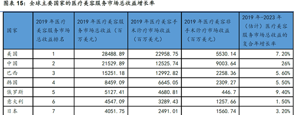 全球主要國家的醫療美容服務市場總收益增長率 全球主要國家的醫療美容服務市場總收益增長率