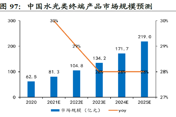 中國水光類終端產品市場規模預測