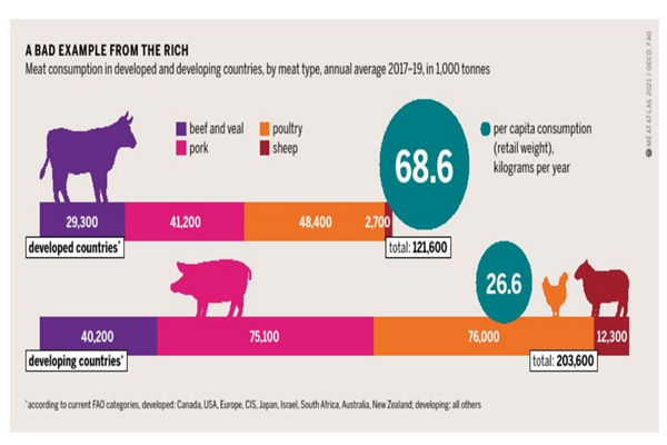 2017-23019年全球肉類消費量