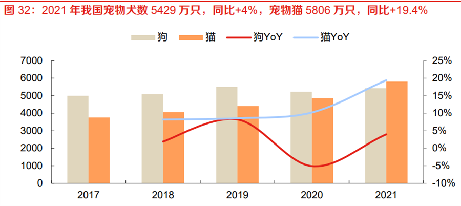 寵物貓數(shù)量 寵物貓數(shù)量