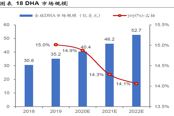 DHA 市場規模 DHA 市場規模