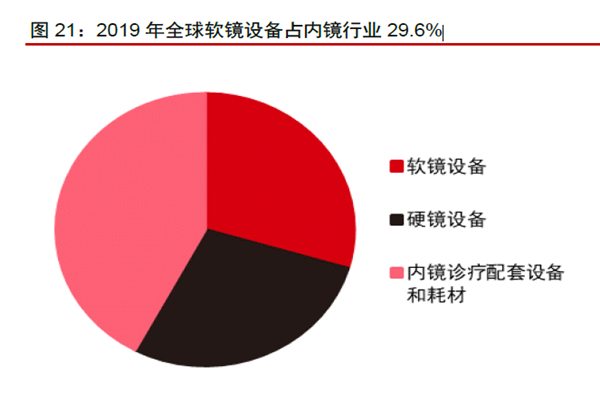 2019 年全球軟鏡設備占內鏡行業29.6% 2019 年全球軟鏡設備占內鏡行業29.6%