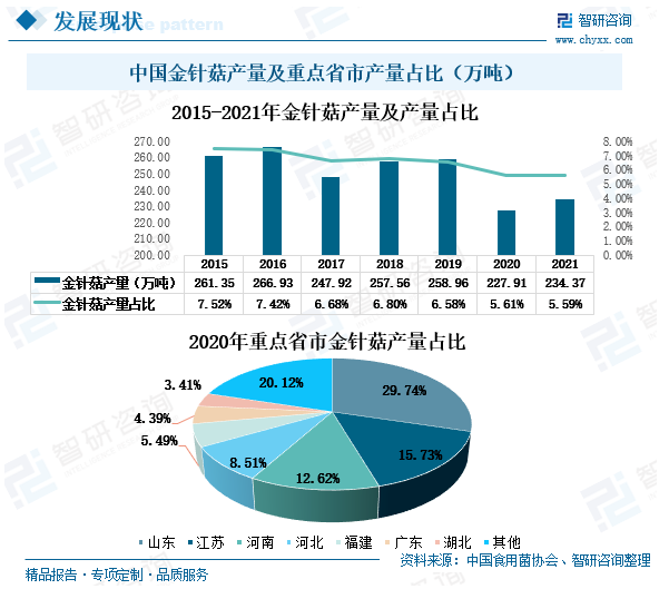 中國金針菇的年產量 中國金針菇的年產量
